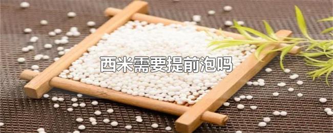 西米需要提前泡吗
