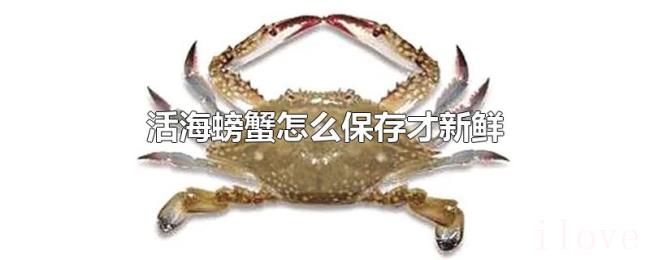 活海螃蟹怎么保存才新鲜 活海螃蟹怎么保存才新鲜