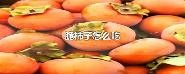 脆柿子怎么吃