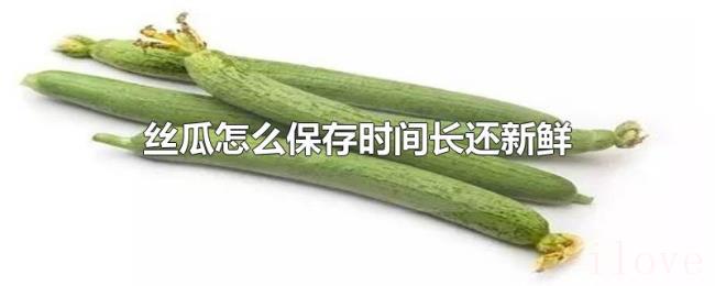 丝瓜怎么保存时间长还新鲜