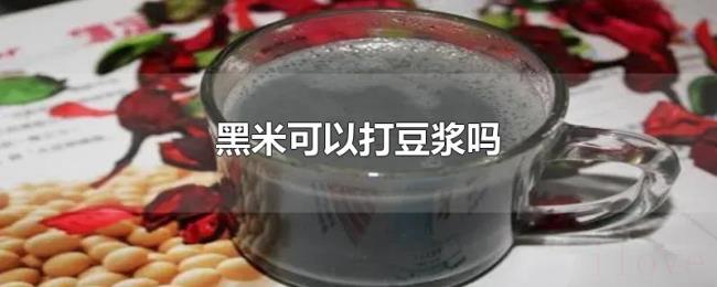 黑米可以打豆浆吗 黑米可以打豆浆吗