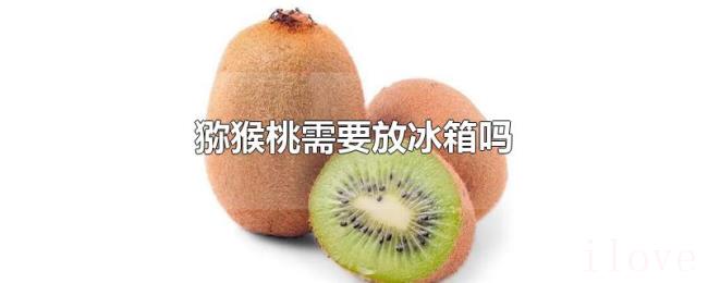 猕猴桃需要放冰箱吗 猕猴桃需要放冰箱吗