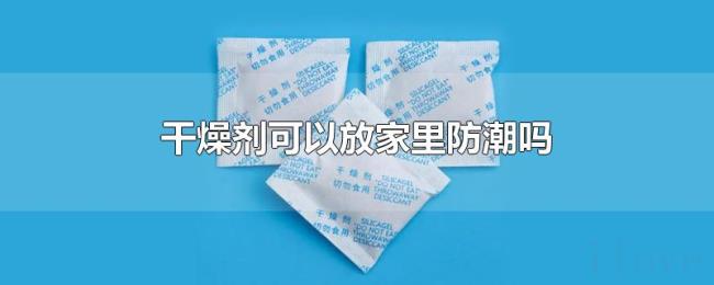 干燥剂可以放家里防潮吗