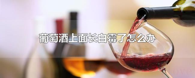 葡萄酒上面长白霉了怎么办 葡萄酒上面长白霉了怎么办