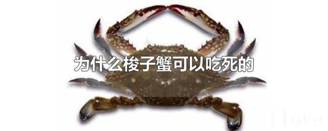 为什么梭子蟹可以吃死的 为什么梭子蟹可以吃死的