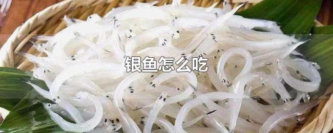 银鱼怎么吃 银鱼怎么吃