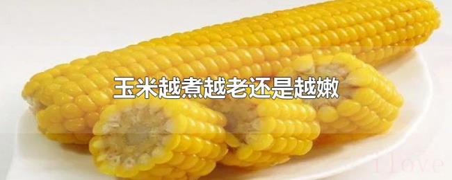 玉米越煮越老还是越嫩