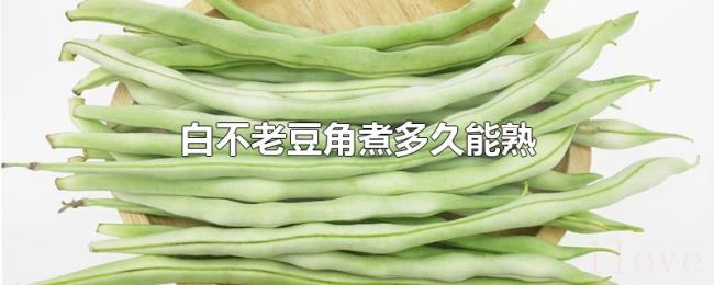 白不老豆角煮多久能熟 白不老豆角煮多久能熟