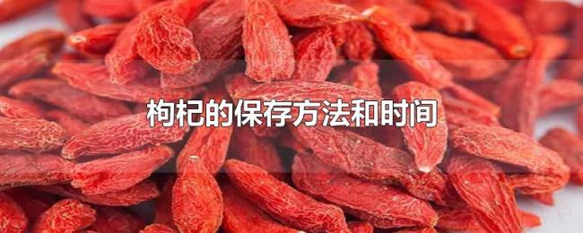 枸杞的保存方法和时间
