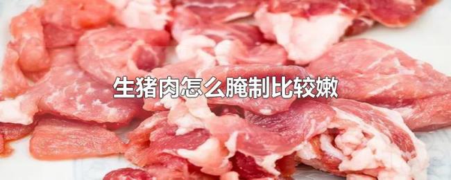 生猪肉怎么腌制比较嫩 生猪肉怎么腌制比较嫩