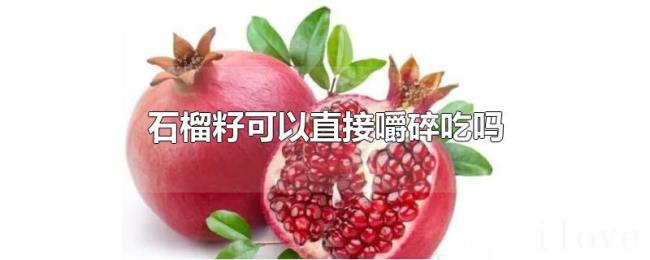 石榴籽可以直接嚼碎吃吗