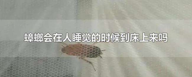 蟑螂会在人睡觉的时候到床上来吗 蟑螂会在人睡觉的时候到床上来吗
