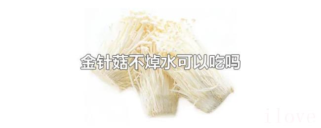 金针菇不焯水可以吃吗