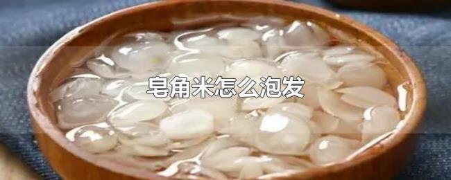 皂角米怎么泡发