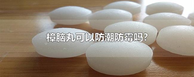 樟脑丸可以防潮防霉吗? 樟脑丸可以防潮防霉吗?