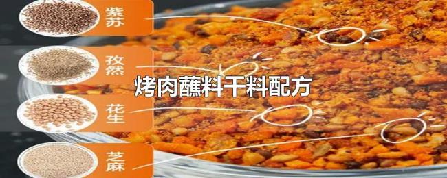 烤肉蘸料干料配方 烤肉蘸料干料配方