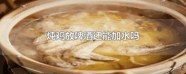 炖鸡放啤酒还能加水吗 炖鸡放啤酒还能加水吗