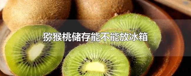 猕猴桃储存能不能放冰箱 猕猴桃储存能不能放冰箱