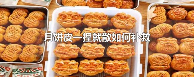 月饼皮一捏就散如何补救 月饼皮一捏就散如何补救