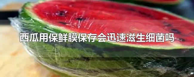 西瓜用保鲜膜保存会迅速滋生细菌吗