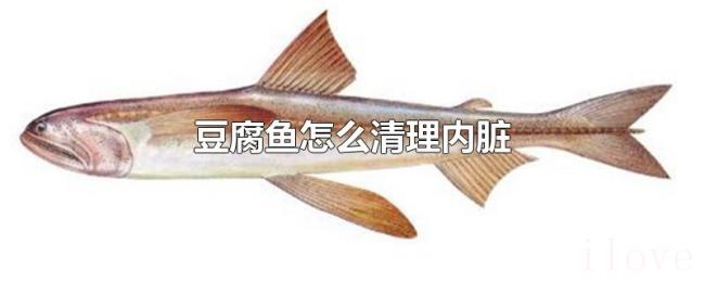 豆腐鱼怎么清理内脏