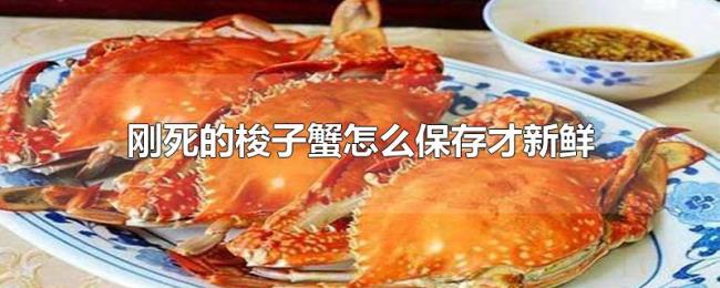 刚死的梭子蟹怎么保存才新鲜 刚死的梭子蟹怎么保存才新鲜
