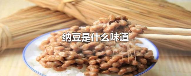 纳豆是什么味道