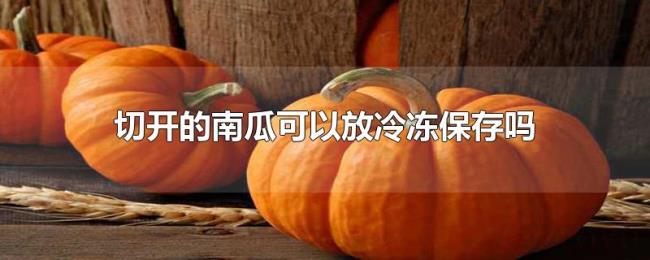 切开的南瓜可以放冷冻保存吗 切开的南瓜可以放冷冻保存吗