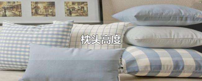 枕头高度 枕头高度