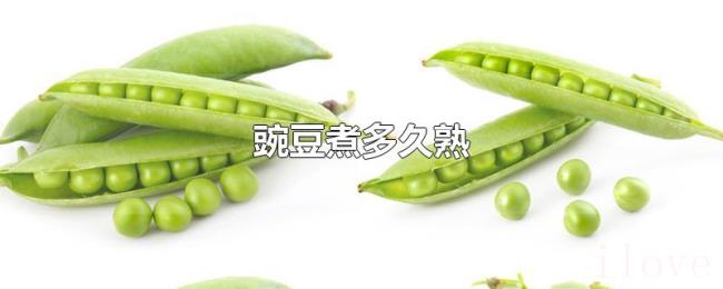 豌豆煮多久熟 豌豆煮多久熟