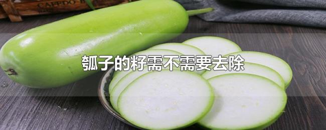 瓠子的籽需不需要去除