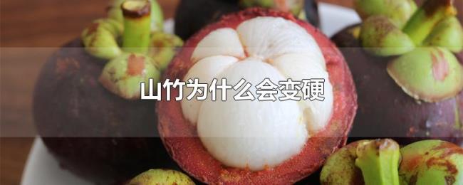 山竹为什么会变硬