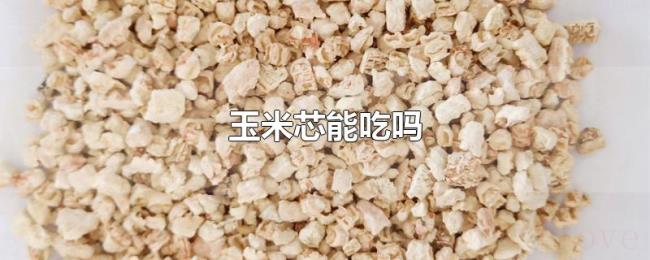 玉米芯能吃吗 玉米芯能吃吗