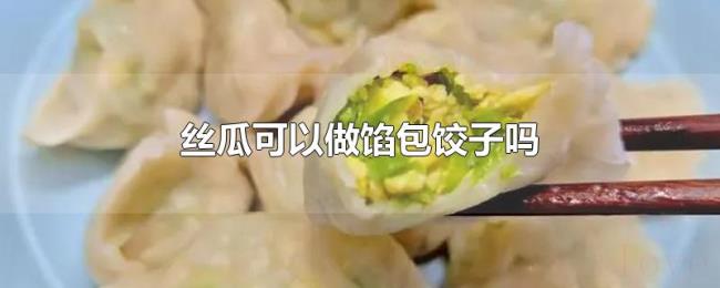 丝瓜可以做馅包饺子吗 丝瓜可以做馅包饺子吗