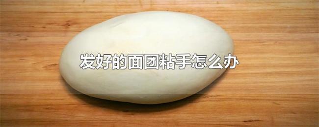 发好的面团粘手怎么办 发好的面团粘手怎么办