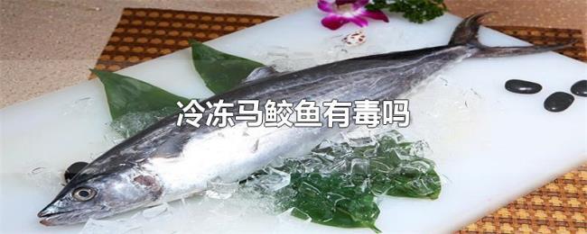 冷冻马鲛鱼有毒吗 冷冻马鲛鱼有毒吗