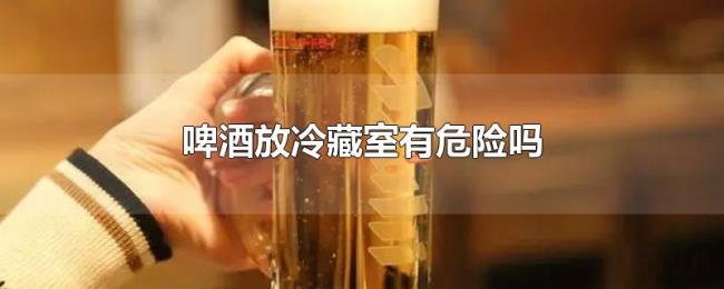 啤酒放冷藏室有危险吗
