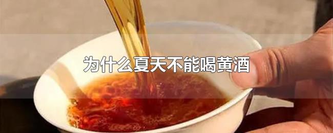 为什么夏天不能喝黄酒