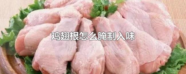鸡翅根怎么腌制入味 鸡翅根怎么腌制入味