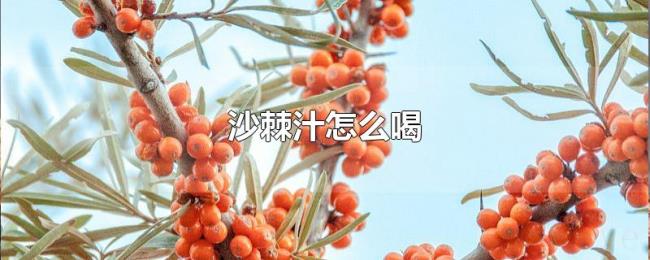 沙棘汁怎么喝