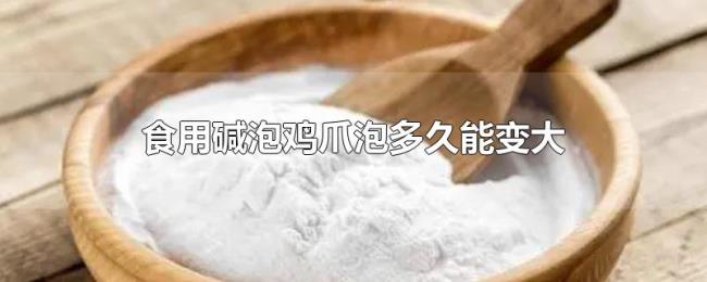 食用碱泡鸡爪泡多久能变大