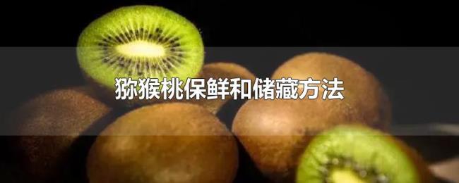 猕猴桃保鲜和储藏方法 猕猴桃保鲜和储藏方法