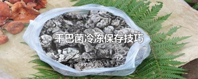 干巴菌冷冻保存技巧