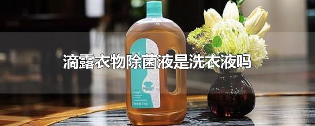 滴露衣物除菌液是洗衣液吗