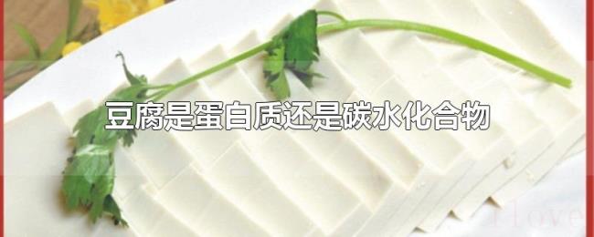 豆腐是蛋白质还是碳水化合物