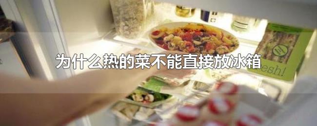 为什么热的菜不能直接放冰箱 为什么热的菜不能直接放冰箱