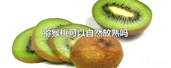 猕猴桃可以自然放熟吗