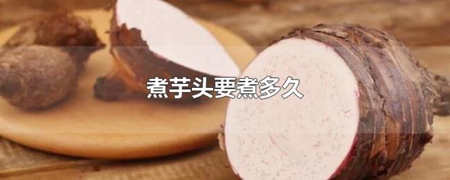 煮芋头要煮多久 煮芋头要煮多久