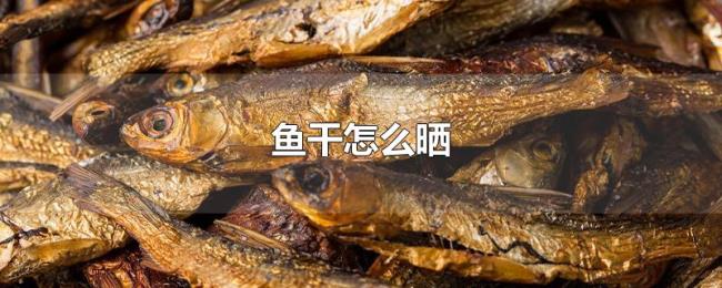 鱼干怎么晒 鱼干怎么晒