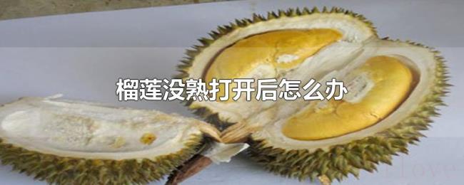 榴莲没熟打开后怎么办 榴莲没熟打开后怎么办